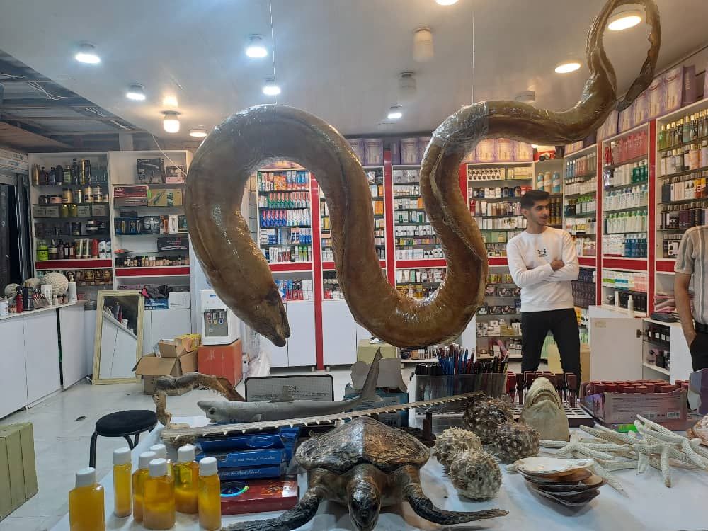 لوازم آرایشی و بهداشتی بیوتی وان واردکننده بهترین برندهای آرایشی در جزیره قشم